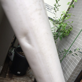 【週末限定値下げ】8000円サーフボード！の画像