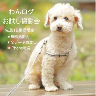【無料】7月わんちゃんお試し撮影会　先着18組様限定