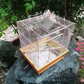 小鳥小屋の画像