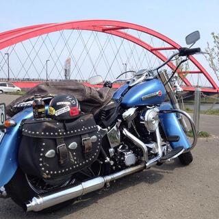 HarleyDavidson 1998 FLSTC EVO