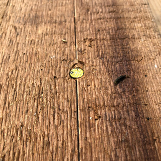 兼松 kanematsu スクリュー釘打機 KD-85MISAWA 動作確認済の画像