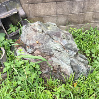 庭石　たくさん　大小さまざま