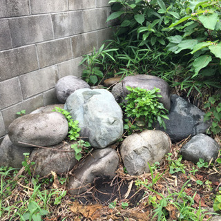 庭石　たくさん　大小さまざまの画像