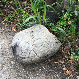 庭石　たくさん　大小さまざまの画像