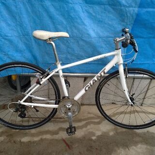 GIANT ESCAPE R3 700C アルミ 24速 430mm 白クロス GIANT ESCAPE R3 クロスバイク エスケープ ホワイト アルミ 700C