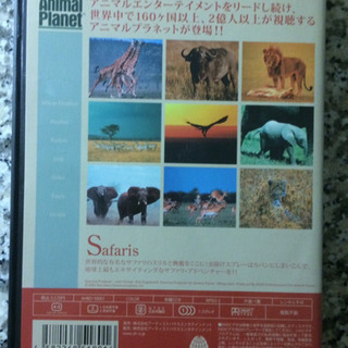 アニマル・プラネット ベスト盤「サファリ編」（DVD）の画像
