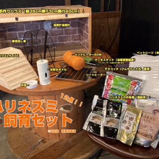 ハリネズミ飼育セット12点?市販より大きめの手作りハウス！