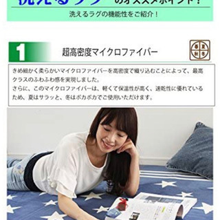 ラグ 洗える 200×250 ラグマット　ゼブラの画像