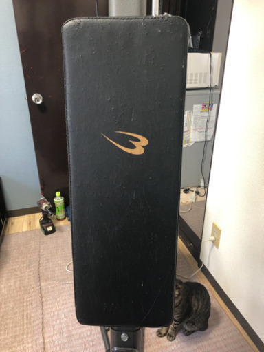 筋トレマシン 大型 急速