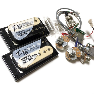 Epiphone Alnico Classic Proゼブラ配線...