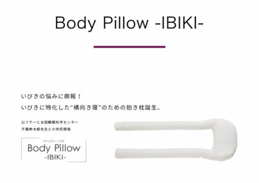 Body Pillow -IBIKI-  抱き枕 【ロフテー】