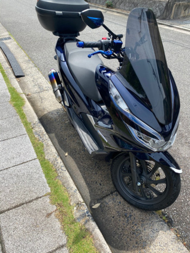 PCX HYBRID 極上車