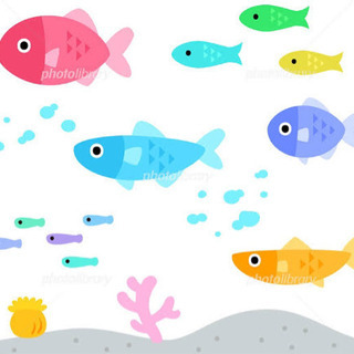 函館の魚全て釣り尽くしましょう！