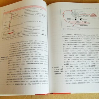 ☆　医歯薬出版株式会社 第3版 口腔生化学◆歯科学生必見！の画像