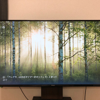 49v ハイビジョン液晶テレビ + 壁寄せテレビスタンド