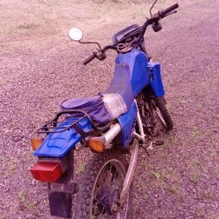 MTX50