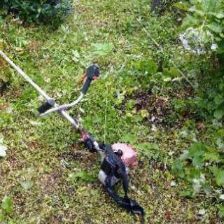 草刈り無料で致します。