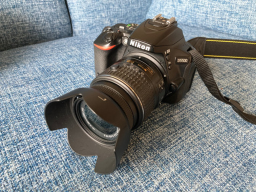 【美品＋オマケ多数！！】Nikon D5500 ★Wi-Fi搭載・動画撮影可能