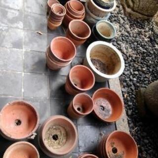 植木鉢差し上げます【中古】の画像