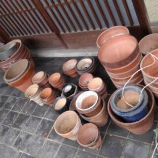 植木鉢差し上げます【中古】の画像