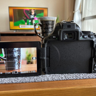 【美品＋オマケ多数！！】Nikon D5500 ★Wi-Fi搭載・動画撮影可能の画像