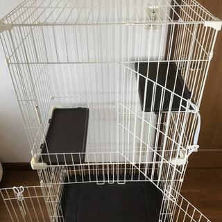 猫のゲージの画像