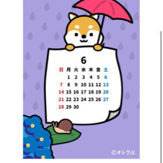 精神的知的な