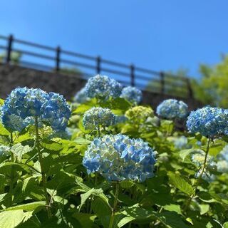 6月21日、BBQ🍖と温泉♨️一緒に行きませんか～🙌