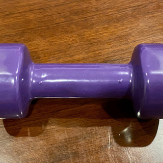 鉄アレイ 2.5Kg 1個の画像