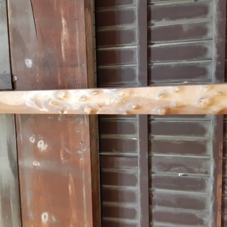 銘木No.18の画像