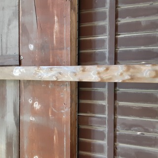 銘木No.24の画像