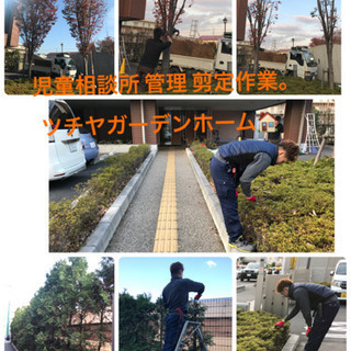 庭の手入れ&外構工事　手に職を　所沢市