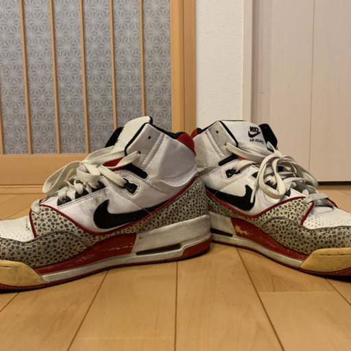 海外限定　ナイキAIR  ASSAULT