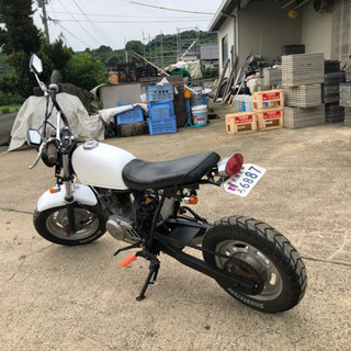 ホンダエイプ50スカチューン、最終値下げです！の画像