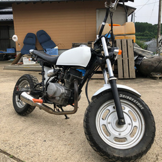 ホンダエイプ50スカチューン、最終値下げです！の画像