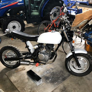 ホンダエイプ50スカチューン、最終値下げです！の画像