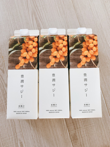 フィネス　豊潤サジー　1000ml  3本