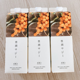 フィネス 豊潤サジー1000ml✖️3 フィネス 豊潤サジー 1000ml 3本 フィネス 豊潤サジー 1000ml×3本