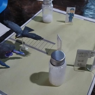 ７月１日（水） 【初心者歓迎クトゥルフ Ｔ Ｒ Ｐ Ｇ】【満席になりました！】 - メンバー募集