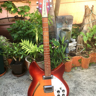 Rickenbacker/希少ギター