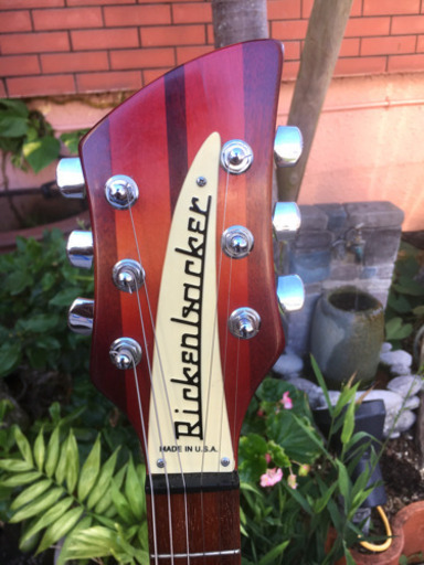Rickenbacker/希少ギター