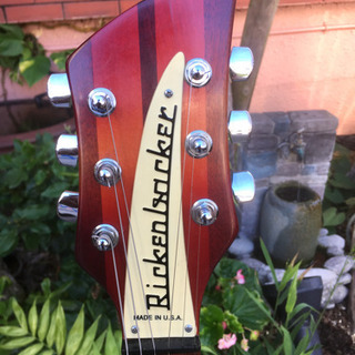 Rickenbacker/希少ギターの画像