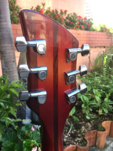 Rickenbacker/希少ギター