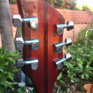 Rickenbacker/希少ギターの画像