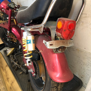 ダックス50の画像