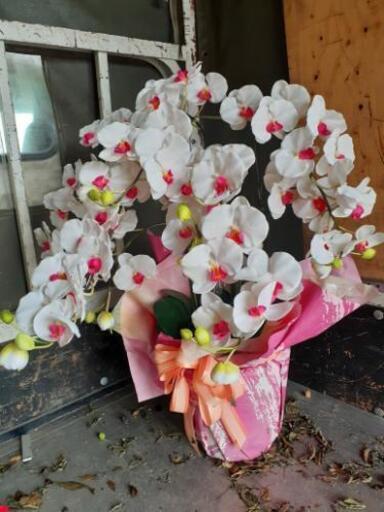 【取引中】胡蝶蘭　造花