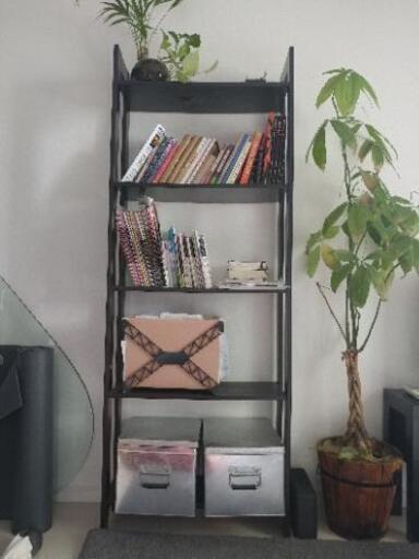 本棚・シェルフ IKEA LAIVA x2