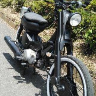 メイト50　(2)