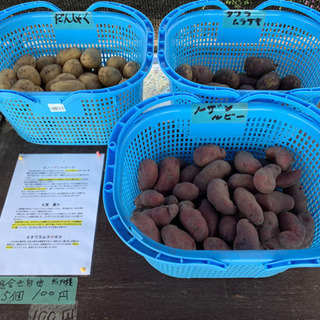 無人直売所「村の駅赤幡城」