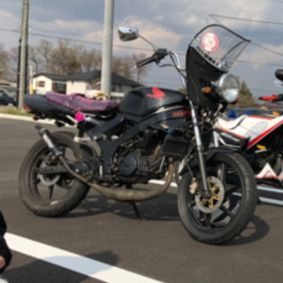 HONDA ns-1